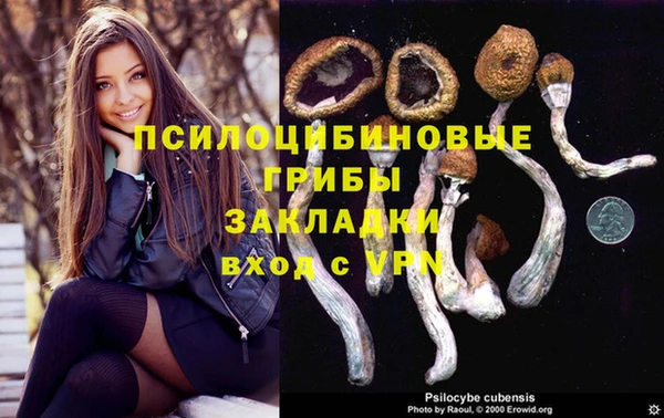 мескалин Абаза