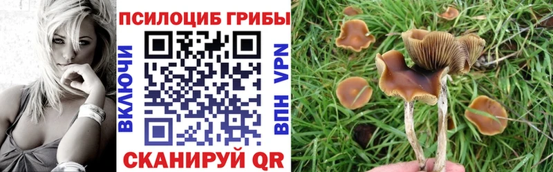 Псилоцибиновые грибы MAGIC MUSHROOMS Мещовск